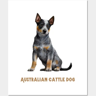 Australian Cattle Dog Posters and Art